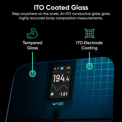 Ultra Precision Scale